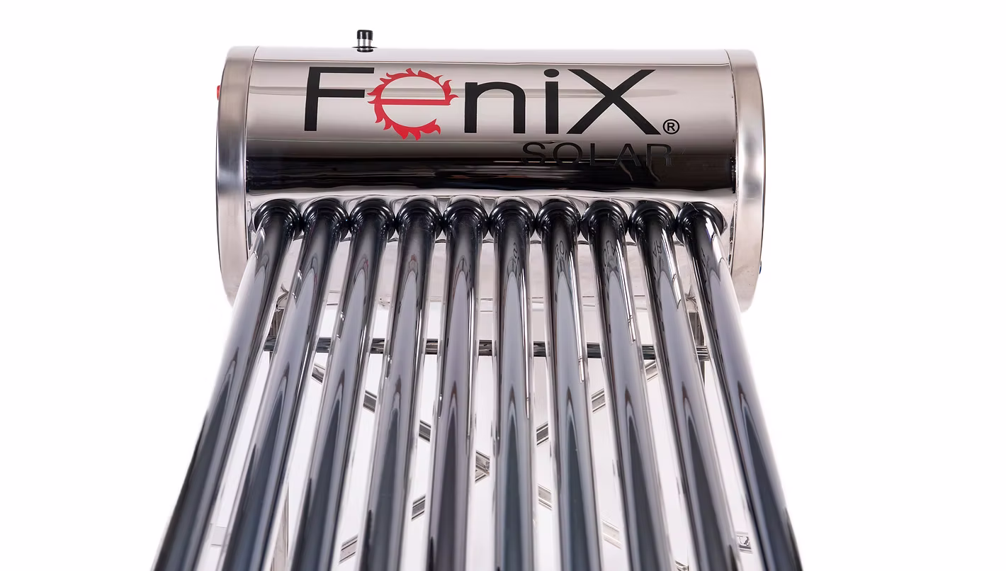 Modelo Fénix
